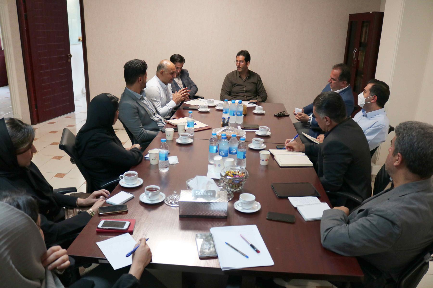 تشکیل کارگروه حقوقی و نظارت انجمن ملی لیزینگ ایران